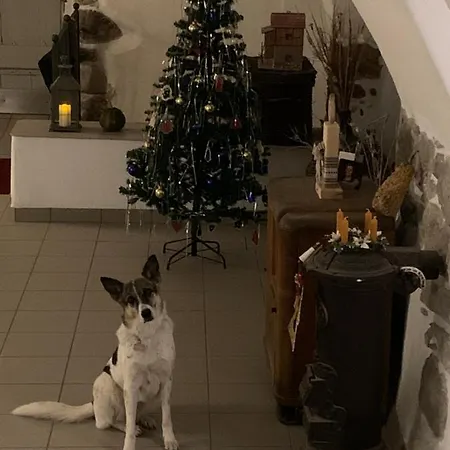 Bed & Breakfast Al Capitello Trento