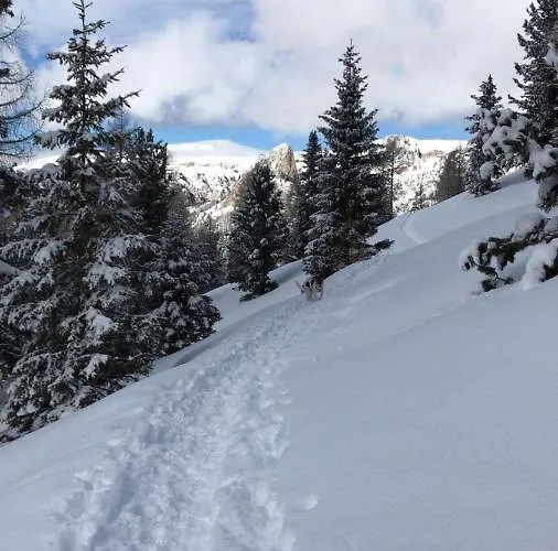 奥卡提洛住宿加早餐旅馆 住宿加早餐酒店 特伦托