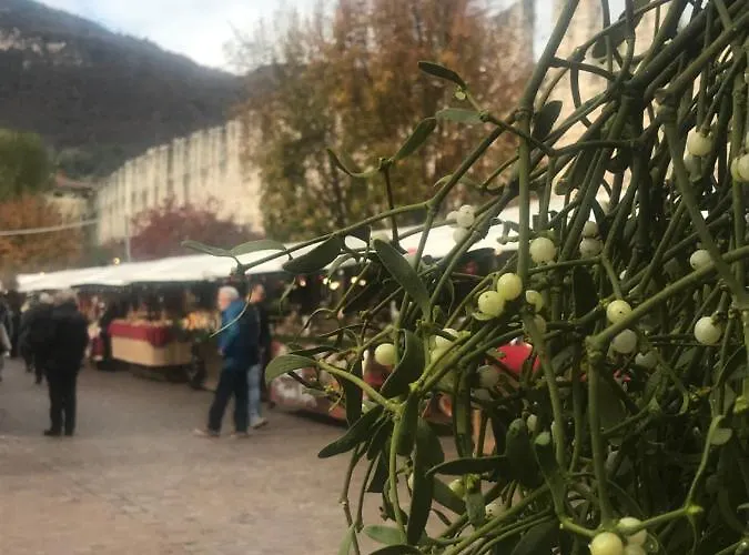 Al Capitello Oda ve Kahvaltı