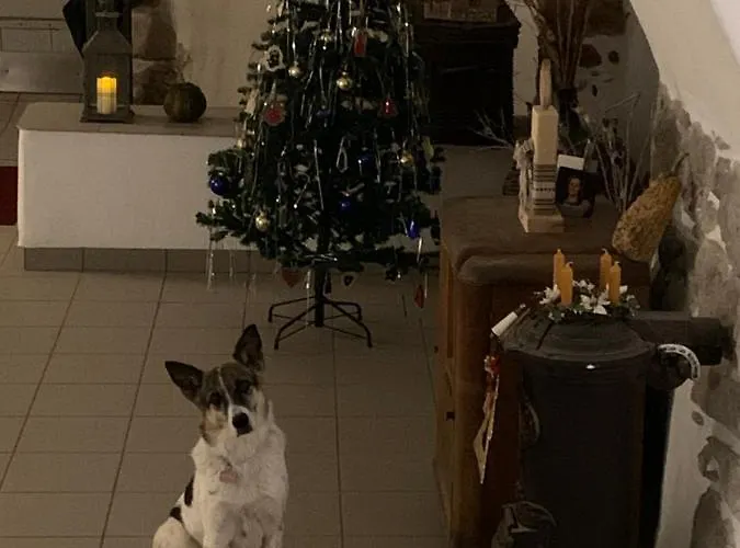 ベッド・アンド・ブレックファスト Al Capitello トレント